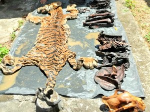 Walhi Ungkap Sosok yang Ditangkap Bareng Eks Bupati Bener Meriah