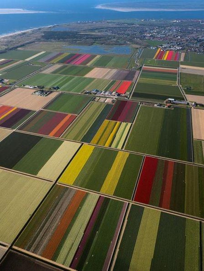 Deretan Foto yang Mengecoh Mata, Lihatnya Harus Fokus