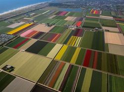 Awas! Deretan Foto Ini Mengecoh Mata, Lihatnya Harus Fokus