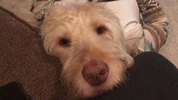 Lho, kepala sama badannya kok beda? Dok. Brightside