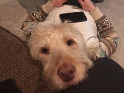 Awas! Deretan Foto Ini Mengecoh Mata, Lihatnya Harus Fokus