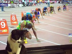 Momen Tingkah Kocak Kucing Karena Timing Foto yang Tepat