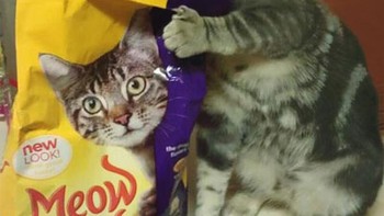 Selaras dengan cover bungkusan makanannya nih. Foto: Boredpanda
