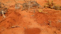 Ini makam Ebla dan Abdia yang meninggal karena kelaparan di kamp Kaxareey untuk para pengungsi internal, di Dollow, wilayah Gedo, Somalia, 24 Mei 2022.