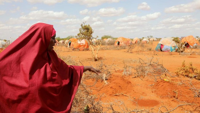 Ibu Ini Kehilangan Putri Kembarnya Gegara Kelaparan Halima Hassan Abdullahi stands near the graves of her twin granddaughters Ebla and Abdia, who died of hunger at the Kaxareey camp for the internally displaced people, in Dollow, Gedo region of Somalia May 24, 2022. Picture taken May 24, 2022. REUTERS/Feisal Omar