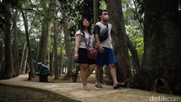 Banyaknya pepohonan membuat suasana sejuk di Taman Kota 1 BSD.
