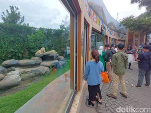 Lalu Lintas di Lembang Ramai, Tempat Wisata Meriah