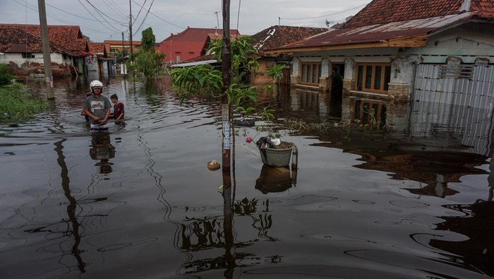 Lihat Lagi Saat Banjir Rob Rendam Permukiman Warga di Pekalongan Banjir rob merendam sejumlah rumah warga di Pekalongan. Tingginya air laut pasang disebut menjadi penyebab banjir rob melanda kawasan tersebut. Ini fotonya.
