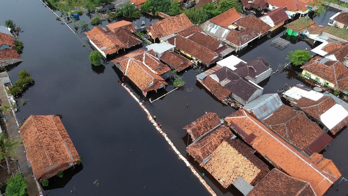 Lihat Lagi Saat Banjir Rob Rendam Permukiman Warga di Pekalongan Banjir rob merendam sejumlah rumah warga di Pekalongan. Tingginya air laut pasang disebut menjadi penyebab banjir rob melanda kawasan tersebut. Ini fotonya.