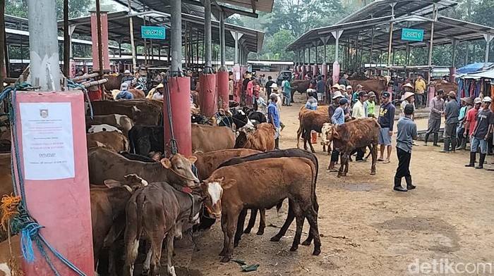Pasar hewan Jelok, Cepogo, Boyolali.