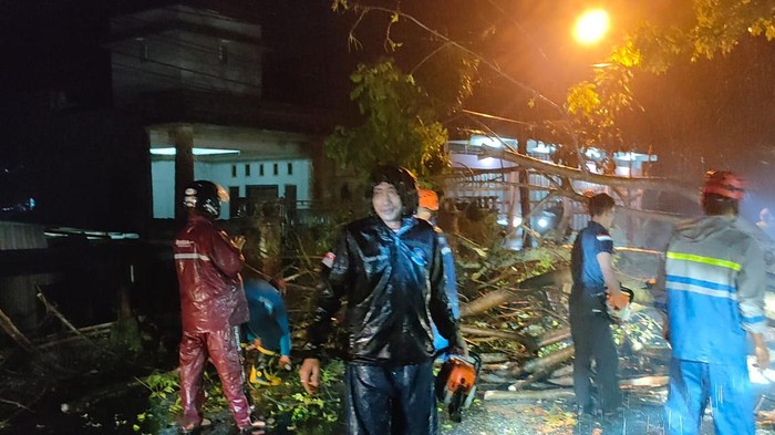 Pohon tumbang di Parepare menutup jalan