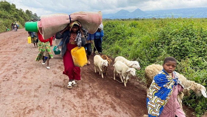 Potret Warga Sipil Kongo Melarikan Diri Gegara Konflik Congolese civilians and their animals flee near the Congolese border with Rwanda after fightings broke out in Kibumba, outside Goma in the North Kivu province of the Democratic Republic of Congo May 24, 2022. REUTERS/Djaffar Sabiti