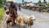 Ada ratusan warga sipil yang melarikan diri dari kampung halaman mereka karena konflik bersenjata.