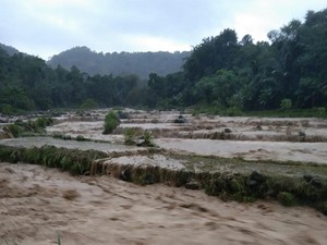 Sungai Meluap Sebabkan 8 Ekor Sapi di Sinjai Mati