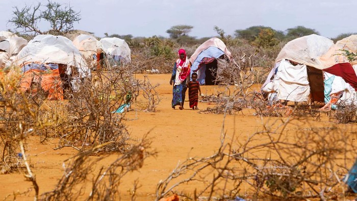 Tolong! Bencana Kelaparan Landa Somalia Amina Hassan Aden sits with her children Yonis Saleban, 1, Abdulahi Saleban, 3, and Isnino Saleban, 9, inside their makeshift shelter at the Kaxareey camp for the internally displaced people in Dollow, Gedo region of Somalia May 24, 2022. Picture taken May 24, 2022. REUTERS/Feisal Omar