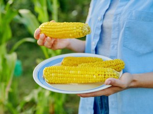 Sering Disalahpahami, Ini 5 Mitos Jagung Manis yang Terbongkar
