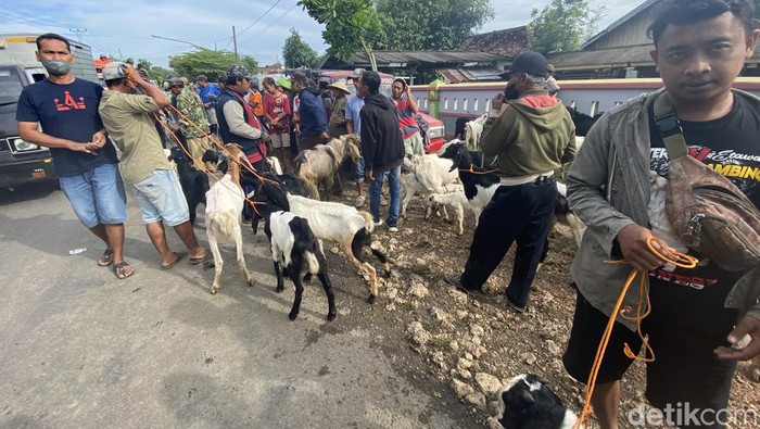Pedagang ternak di Blora berjualan dipinggir jalan lantaran pasar hewan ditutup, Jumat (27/5/2022).