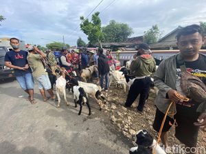 Pemkab Blora Tutup Pasar Hewan, Pedagang Jualan di Pinggir Jalan