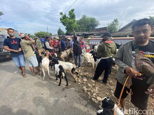 Pemkab Blora Tutup Pasar Hewan, Pedagang Jualan di Pinggir Jalan