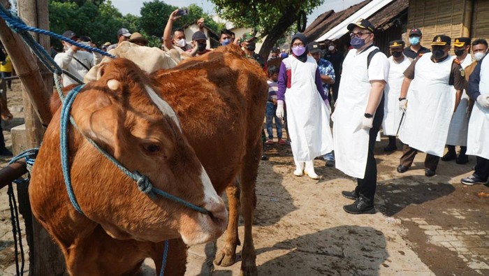 Pemkab Kediri Tanggulangi Wabah PMK