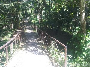 Kisah Mistis Penelusuran Lokasi KKN Desa Penari (1)