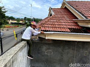 Saat Petugas Damkar Evakuasi Kucing Terjebak di Atap Rumah