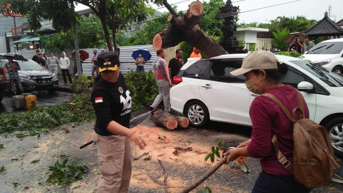 Pohon tumbang timpa mobil parkir di Badung, Bali, Kamis (26/5).