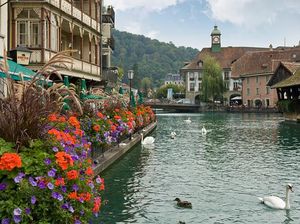 Upaya Terbaru Tim Penyelamat Cari Eril di Sungai Aare Swiss