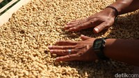 Biji-biji kopi dari berbagai daerah di Indonesia dijual dimana-mana, dan kualitasnya bagus-bagus sampai dicari di manca negara.
