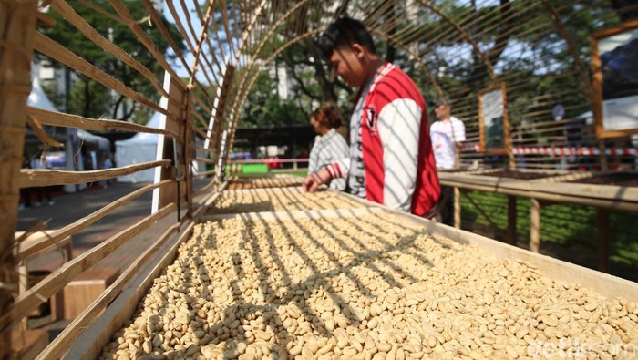 Festival Kopi Tanah Air 2022 sukses digelar di Parkir TImur Gelora Bung Karno (GBK) Senayan, Jakarta. Yuk, intip keseruannya.