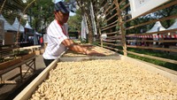 Festival Kopi Tanah Air 2022 berlangsung di Parkir TImur Gelora Bung Karno (GBK) Senayan, Jakarta, Jumat (27/5/2022). Acara itu merupakan gagasan PDIP sebagai rangkaian kegiatan peringatan HUT Ke-49 PDIP.