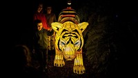 Sebagai informasi, instalasi patung hewan menyala ini merupakan bagian dari rangkaian Festival Vivid Sydney. Dimana sorot lampu warna-warni menjadi benang merah dari perhelatan ini. Kolaborasi kreatifitas dan teknologi menjawab itu semua.
