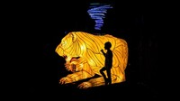Terakhir, seorang pengunjung nampak berfoto bersama harimau.