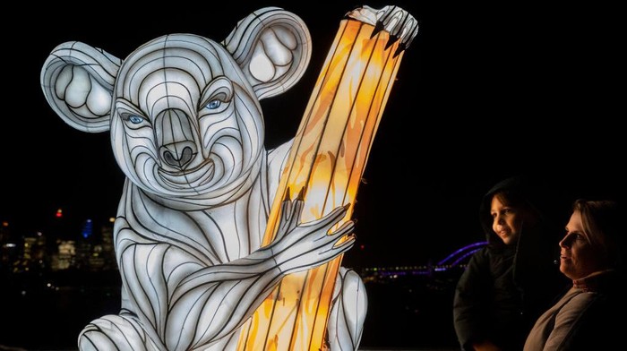 SYDNEY, AUSTRALIA - MAY 27: A boy poses for a photo in front of a tiger lantern at Taronga Zoo for the beginning of the Vivid Sydney festival on May 27, 2022 in Sydney, Australia. Vivid Sydney is an annual festival of light, music and ideas, celebrating its 12th year in 2022. Vivid Sydney runs from 27 May to 18 June 2022. (Photo by Jenny Evans/Getty Images)