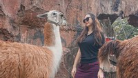 Alus pisan kuda na neng, ujar Indra Bruggman di kolom komentar Instagram Aura Kasih.  Foto: Aura Kasih/ Instagram