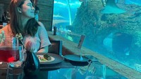 Nah beginilah keseruan Felicya, Hito dan anak pertamanya saat naik pesawat. Mereka menikmati perjalanan sambil disuguhkab minuman. Foto: Instagram