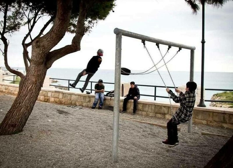 fotoinet Deretan Foto Lucu Membingungkan yang Langka Terjadi
