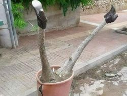 Deretan Foto Lucu dan Membingungkan yang Langka Terjadi