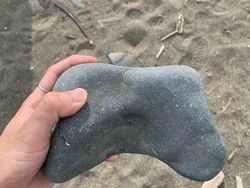 Deretan Foto Lucu dan Membingungkan yang Langka Terjadi