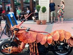 Deretan Foto Lucu dan Membingungkan yang Langka Terjadi