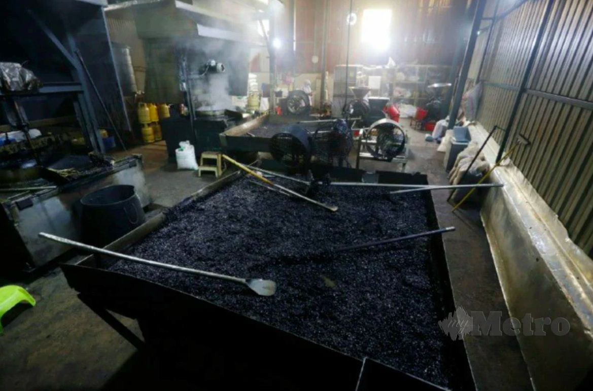 Jorok! Banyak Bangkai dan Kotoran Tikus di Pabrik Teh dan Kopi Ternama Ini