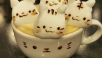 Terlalu lucu! Empat ekor kucing yang berjajar rapi di atas kopi, siap menemani kamu menghabiskan kopi. Foto: Instagram @runapocket
