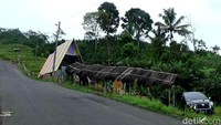 Naksir Kopi bisa disambangi di Desa Kalibombong, Kecamatan Kalibening. Tempat ini mudah dijangkau karena berada di tepi jalan, jalur Banjarnegara-Pekalongan.Foto: Uje Hartono/detikJateng