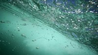 Kualitas air Sungai Aare dalam kategori sangat baik pada tahun 2016.  (dok. Bern)