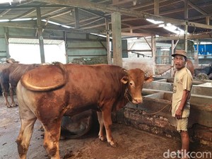 Cegah Virus PMK, UPT BPTP Cirebon Terapkan Lockdown