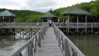 Hutan mangrove Tongke-Tongke ini menjadi salah satu destinasi ekowisata yang ramai dikunjungi wisatawan saat libur akhir pekan.