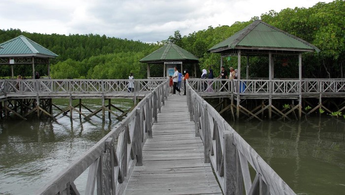 Hutan mangrove Tongke-Tongke di Kabupaten Sinjai tak boleh dilewatkan saat liburan ke Sulawesi Selatan. Objek wisata ini pun ramai wisatawan saat akhir pekan.