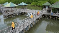 Pengunjung melintas di area hutan mangrove Tongke-Tongke di Desa Tongke-Tongke, Kabupaten Sinjai, Sulawesi Selatan, Minggu (29/5/2022).