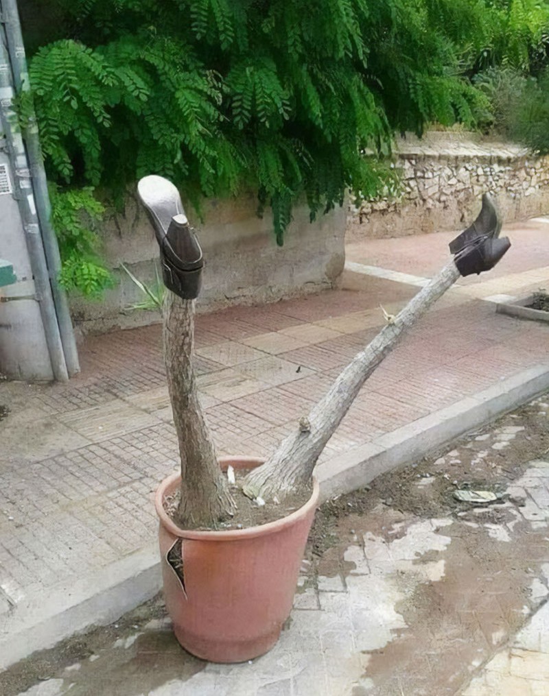 Awas Tertawa Melihat Deretan Foto Unik Ini