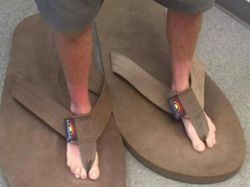 Awas Tertawa Melihat Deretan Foto Unik Ini